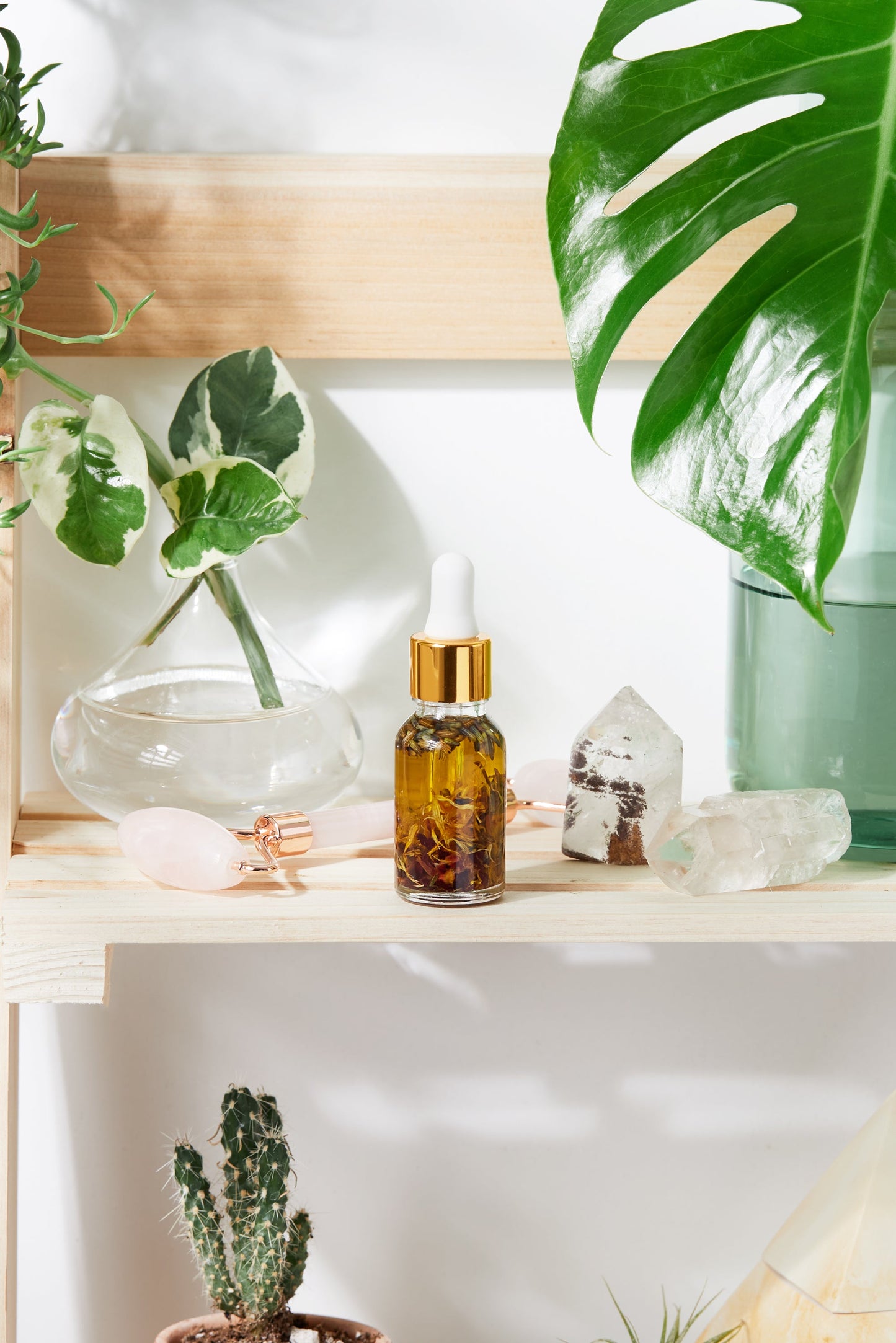 BUTTER ME UP ORGANICS Anti-Aging Facial Serum
